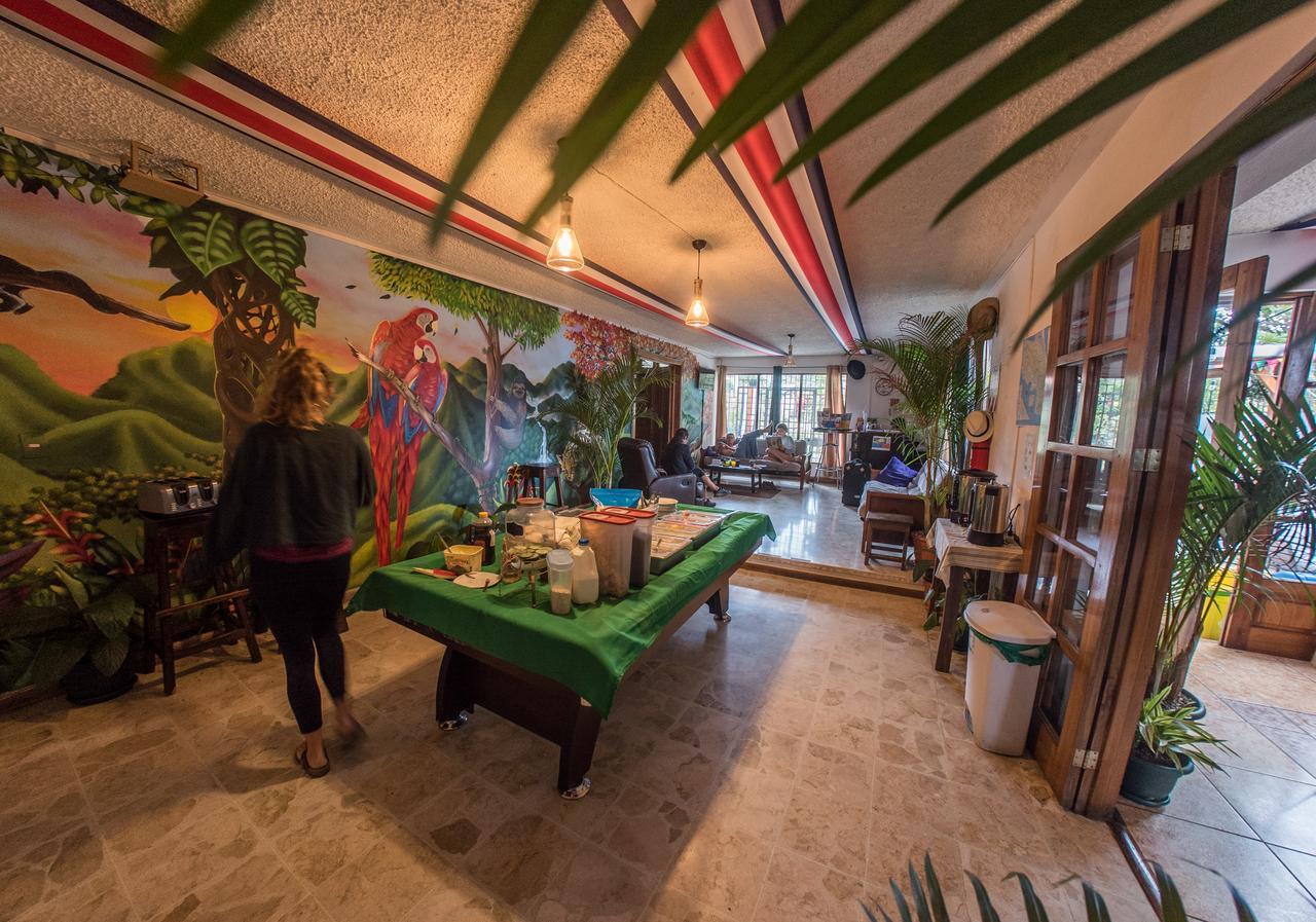 Tripon Open House Pansiyon San José Dış mekan fotoğraf