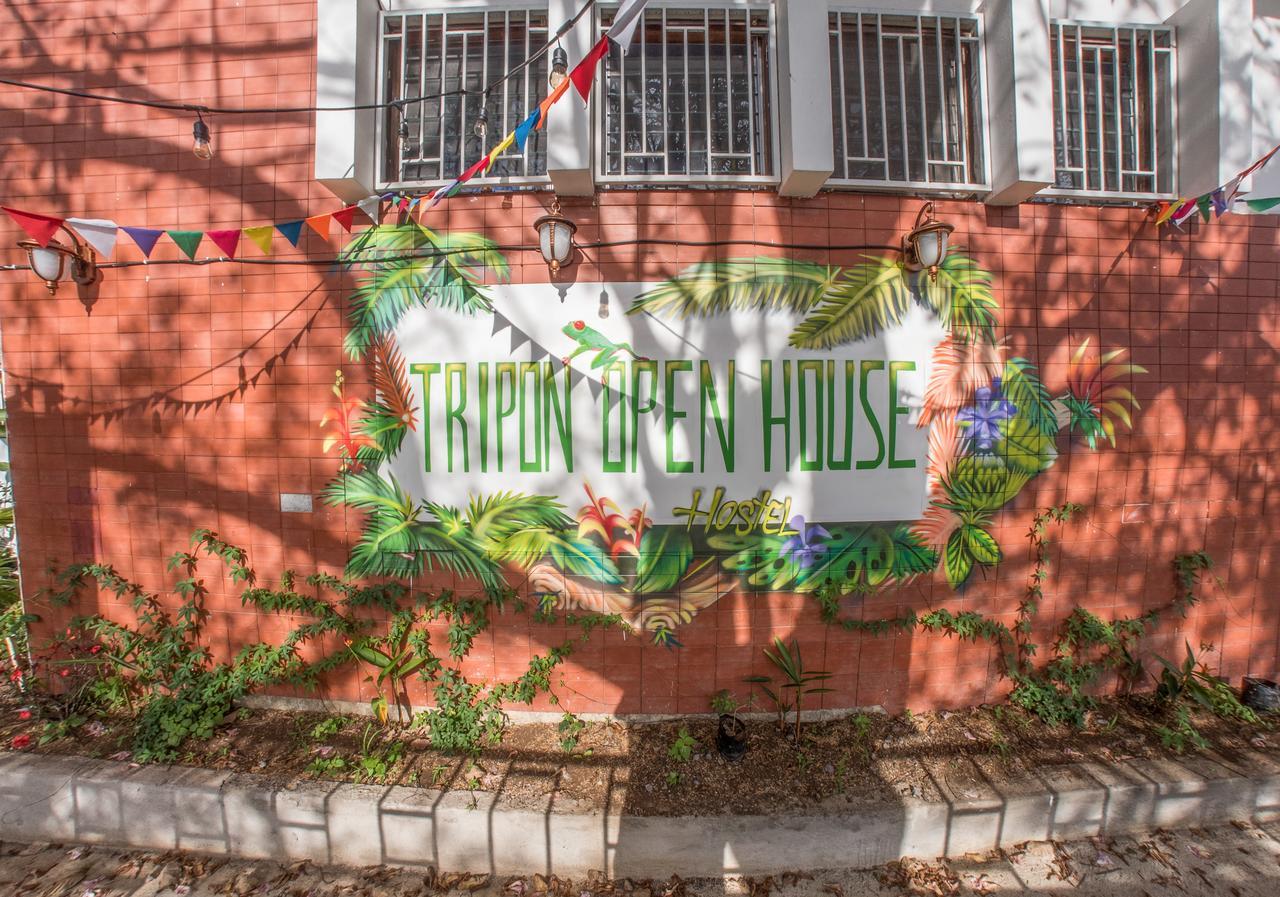 Tripon Open House Pansiyon San José Dış mekan fotoğraf