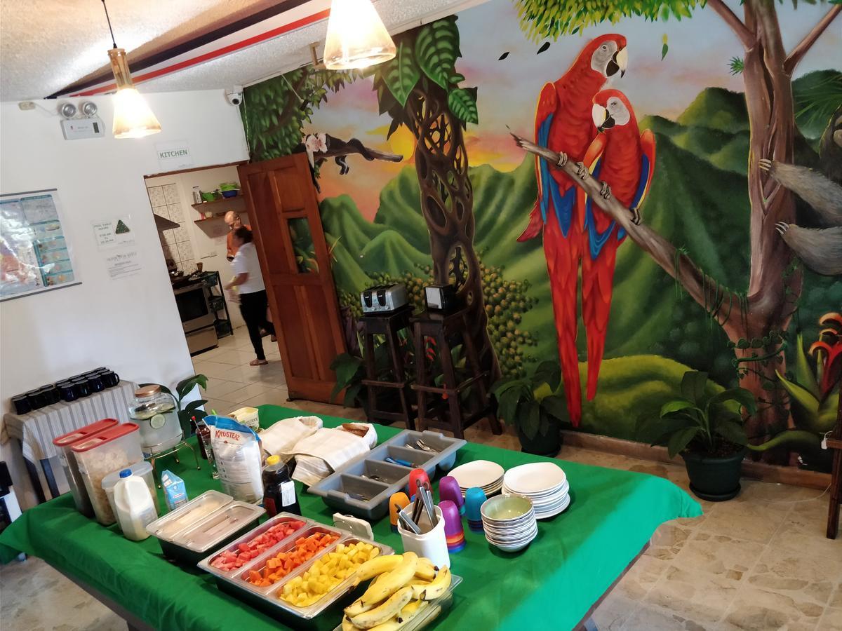 Tripon Open House Pansiyon San José Dış mekan fotoğraf