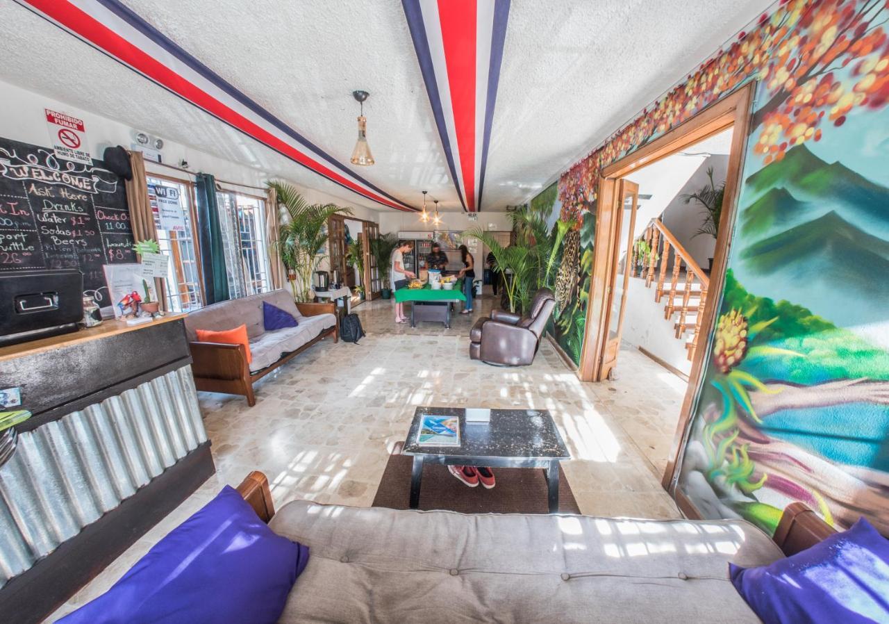 Tripon Open House Pansiyon San José Dış mekan fotoğraf