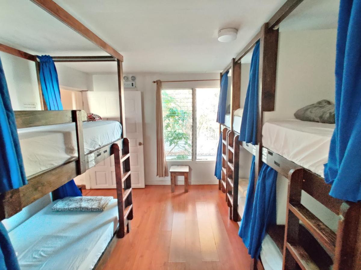 Tripon Open House Pansiyon San José Dış mekan fotoğraf